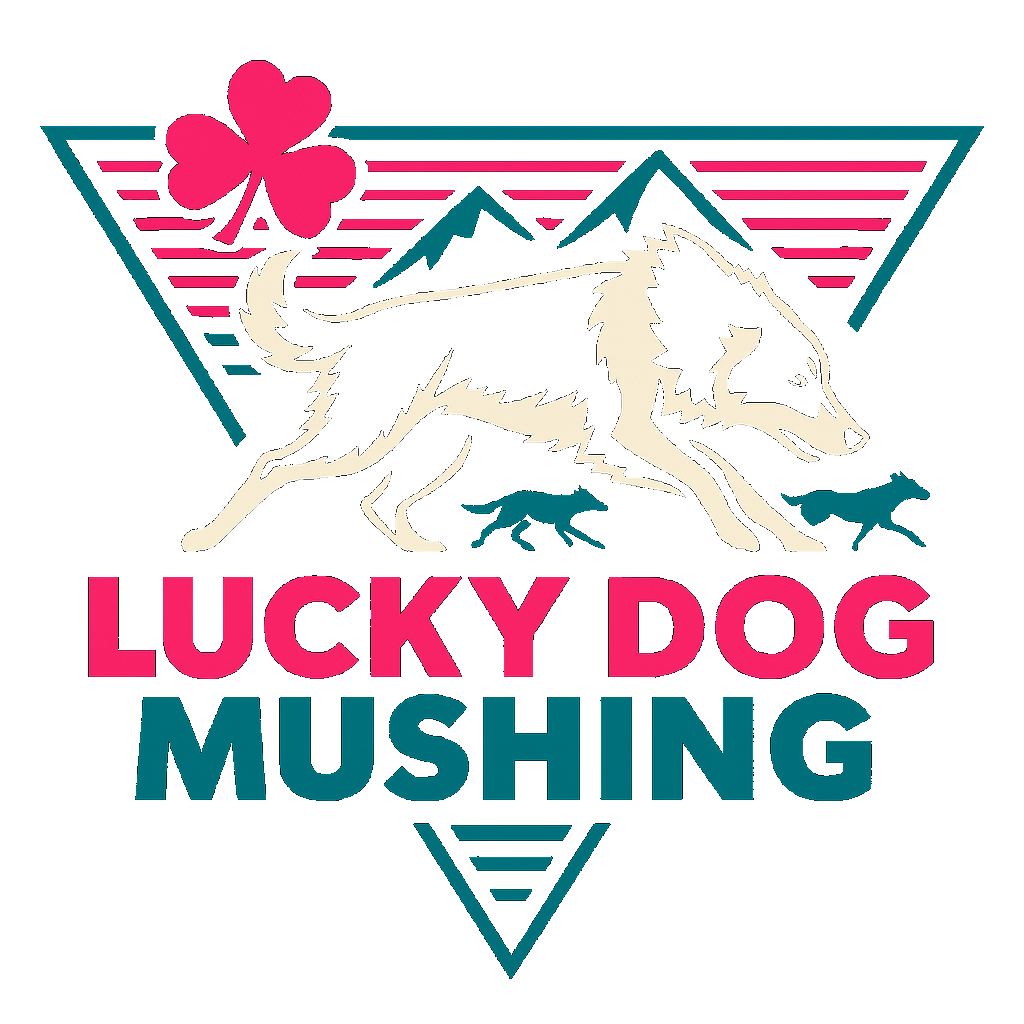 Lucky Dog Mushing