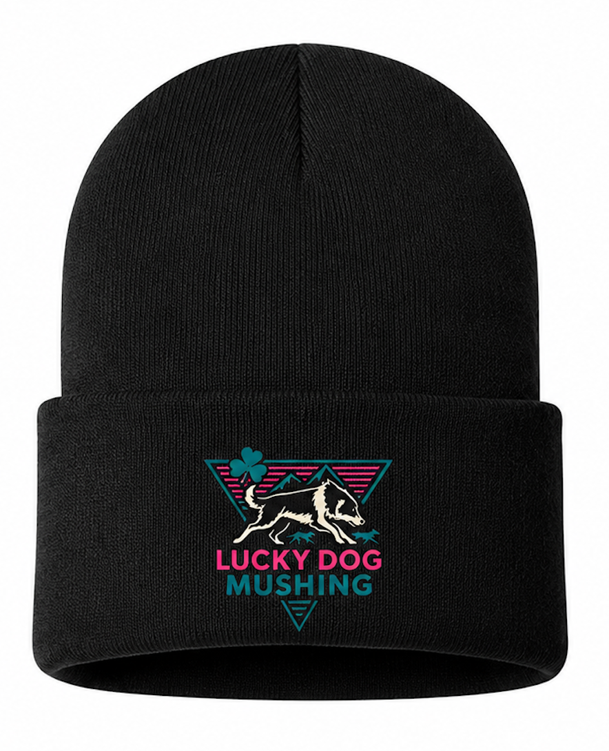 Embroidered Black Beanie
